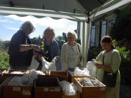 graines et boutures offertes