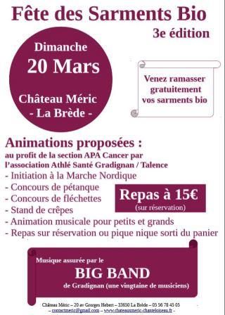 affiche sarments 20 mars fr