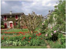 Capture mongenan rv jardins