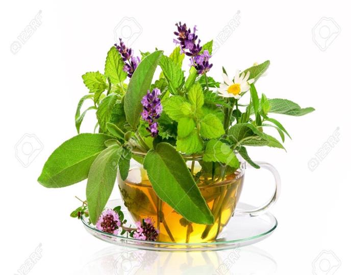 naturopathieImage1