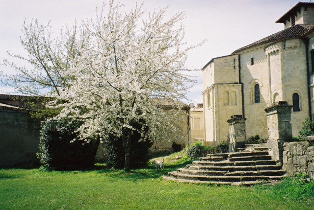 verteuil abbaye perron-fleurs1